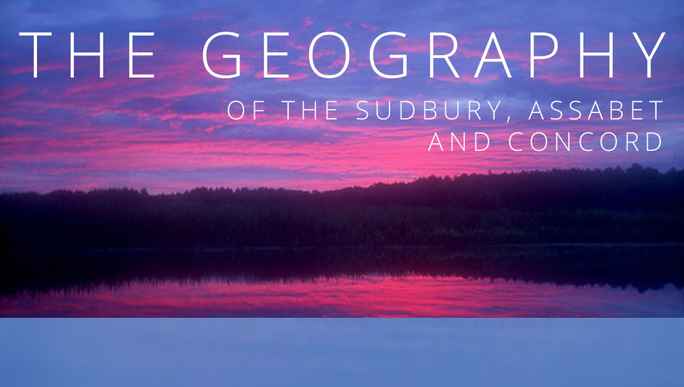 The Sudbury
 by Tom Arnold
