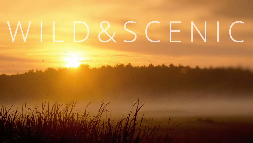 The Glow Of Sunrise
by Frank Moore The Glow Of Sunrise
by Frank Moore