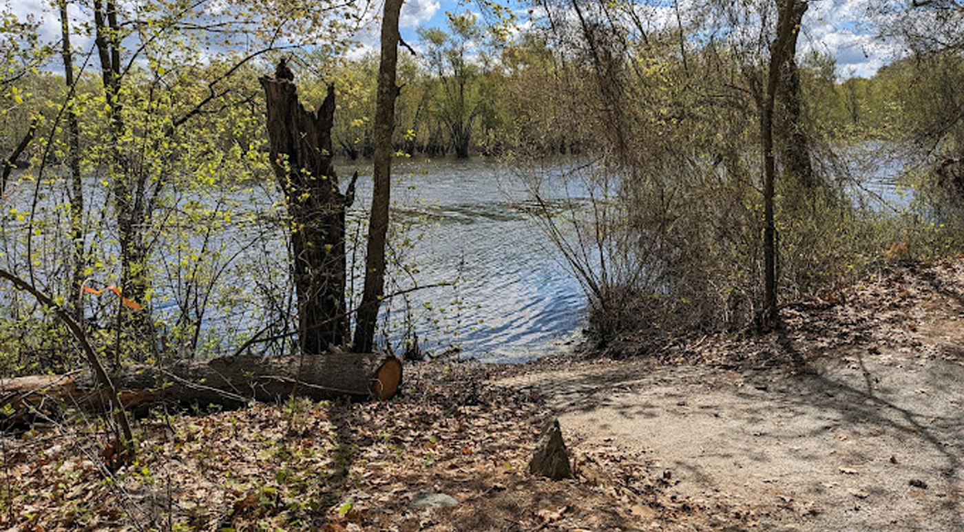 Envisioning Brewster’s Woods