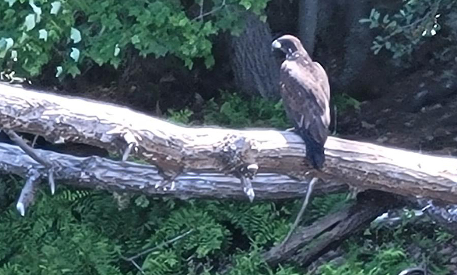 Fairhaven Bay Nature Sunset Paddle