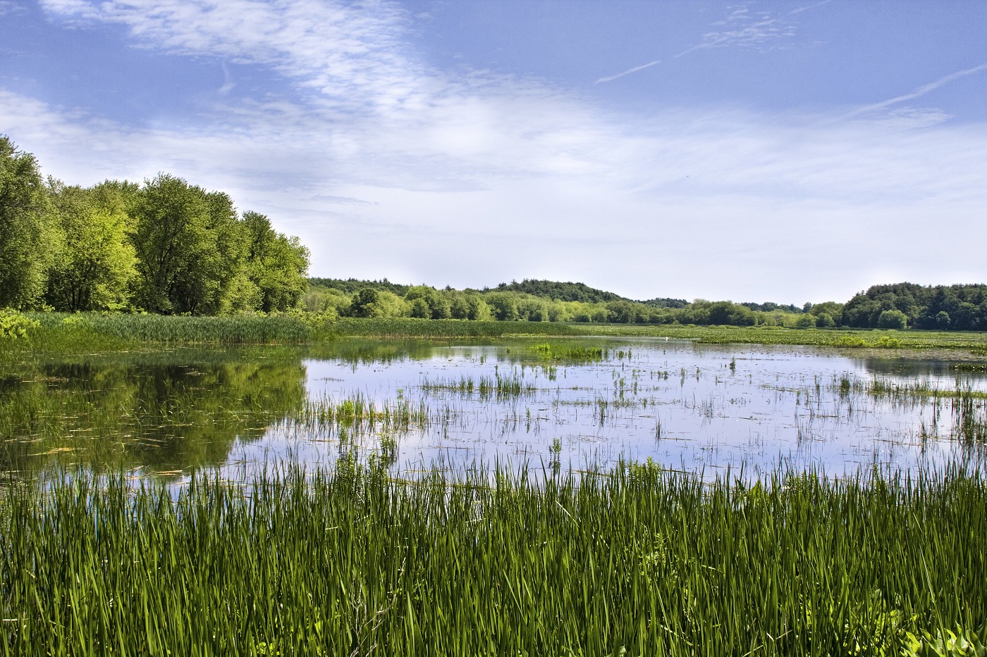 Family Fishing & Festivities at Great Meadows National Wildlife Refuge